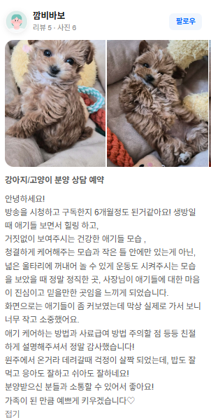 행복만개 인천본점(전, 퍼피캣 인천신현점) 게시판 이미지 5