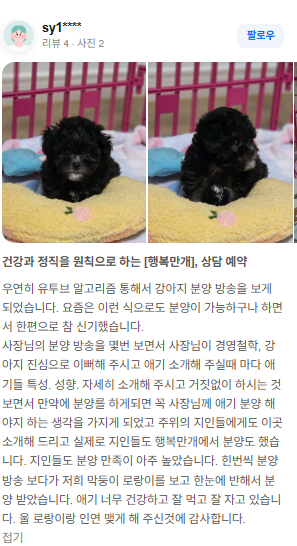 행복만개 인천본점(전, 퍼피캣 인천신현점) 게시판 이미지 4