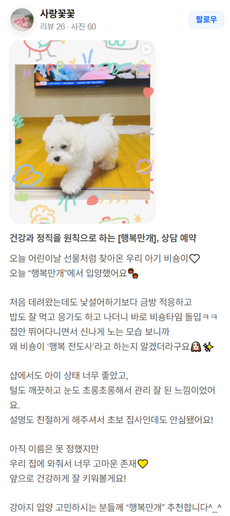 행복만개 인천본점(전, 퍼피캣 인천신현점) 게시판 이미지 2