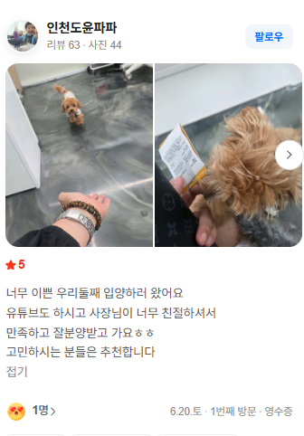 행복만개 인천본점(전, 퍼피캣 인천신현점) 게시판 이미지 2