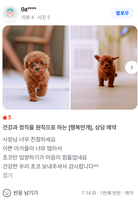 행복만개 인천본점(전, 퍼피캣 인천신현점) 게시판 이미지 1