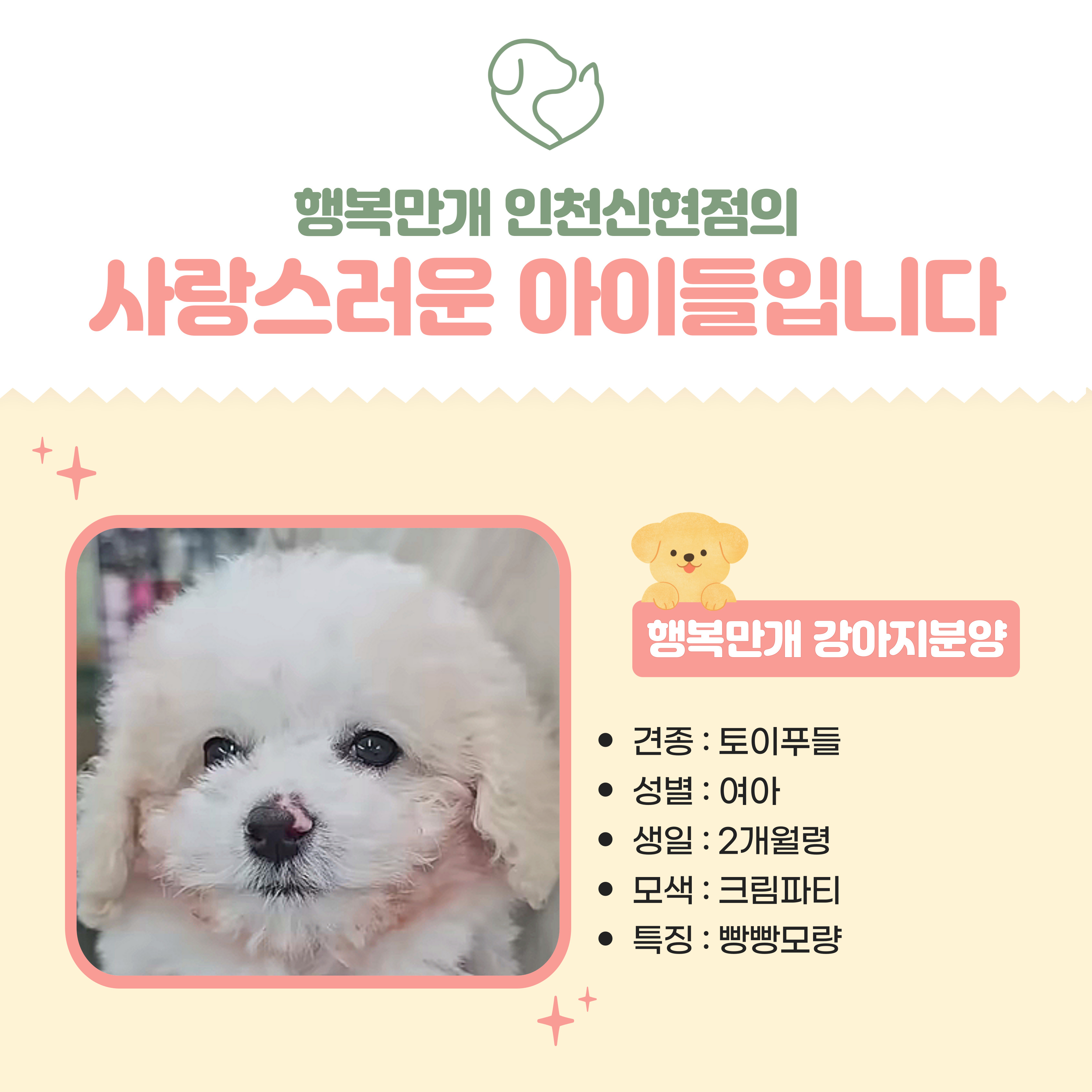 행복만개 인천본점(전, 퍼피캣 인천신현점) 게시판 이미지 5