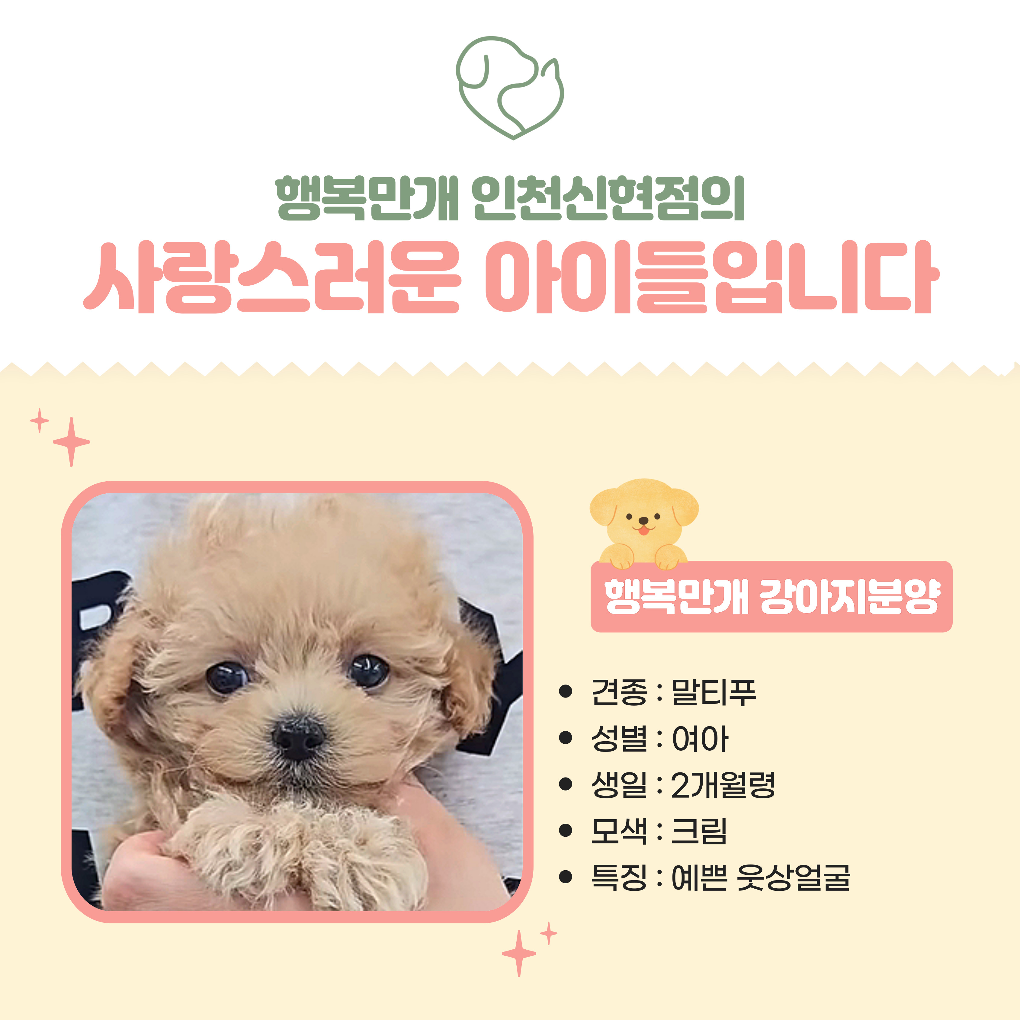 행복만개 인천본점(전, 퍼피캣 인천신현점) 게시판 이미지 2
