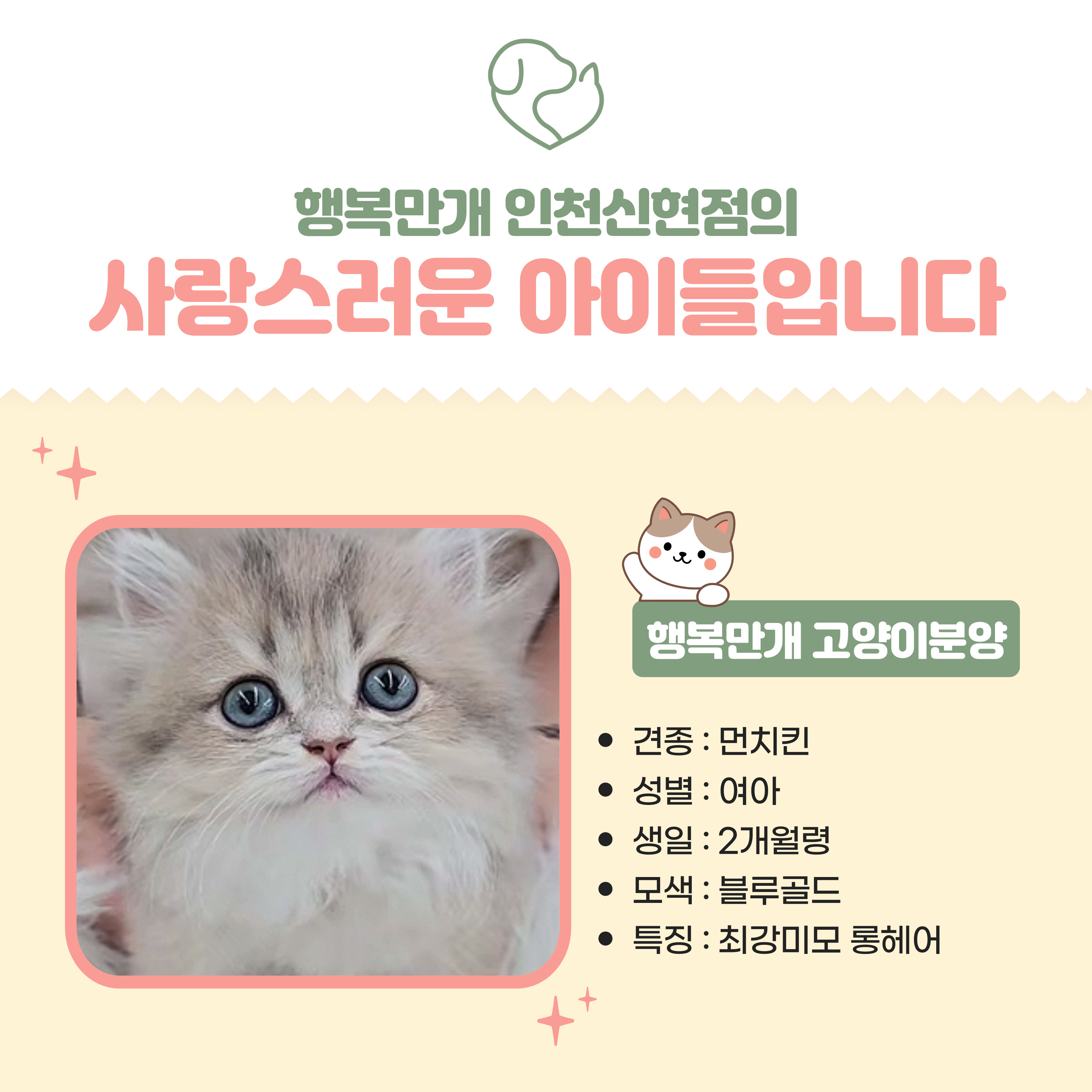 행복만개 인천본점(전, 퍼피캣 인천신현점) 게시판 이미지 1