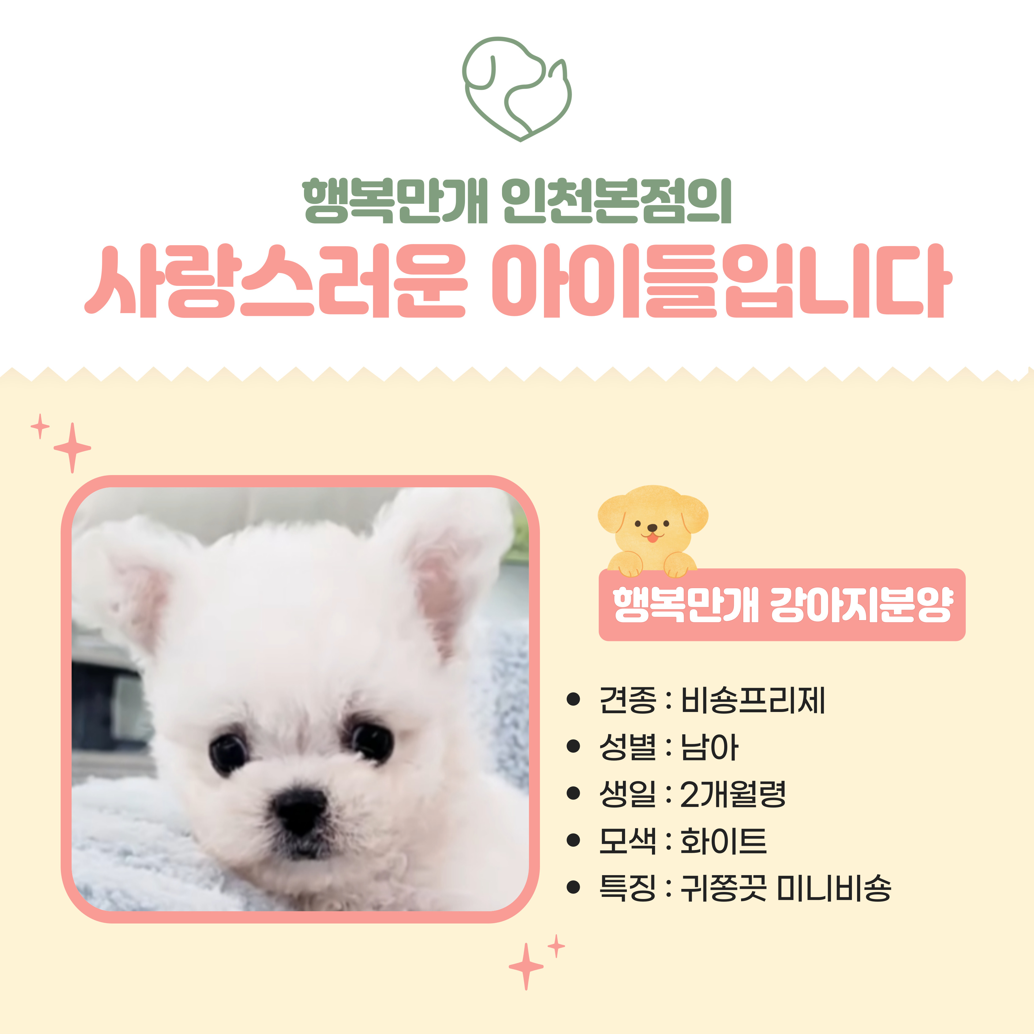 행복만개 인천본점(전, 퍼피캣 인천신현점) 게시판 이미지 5