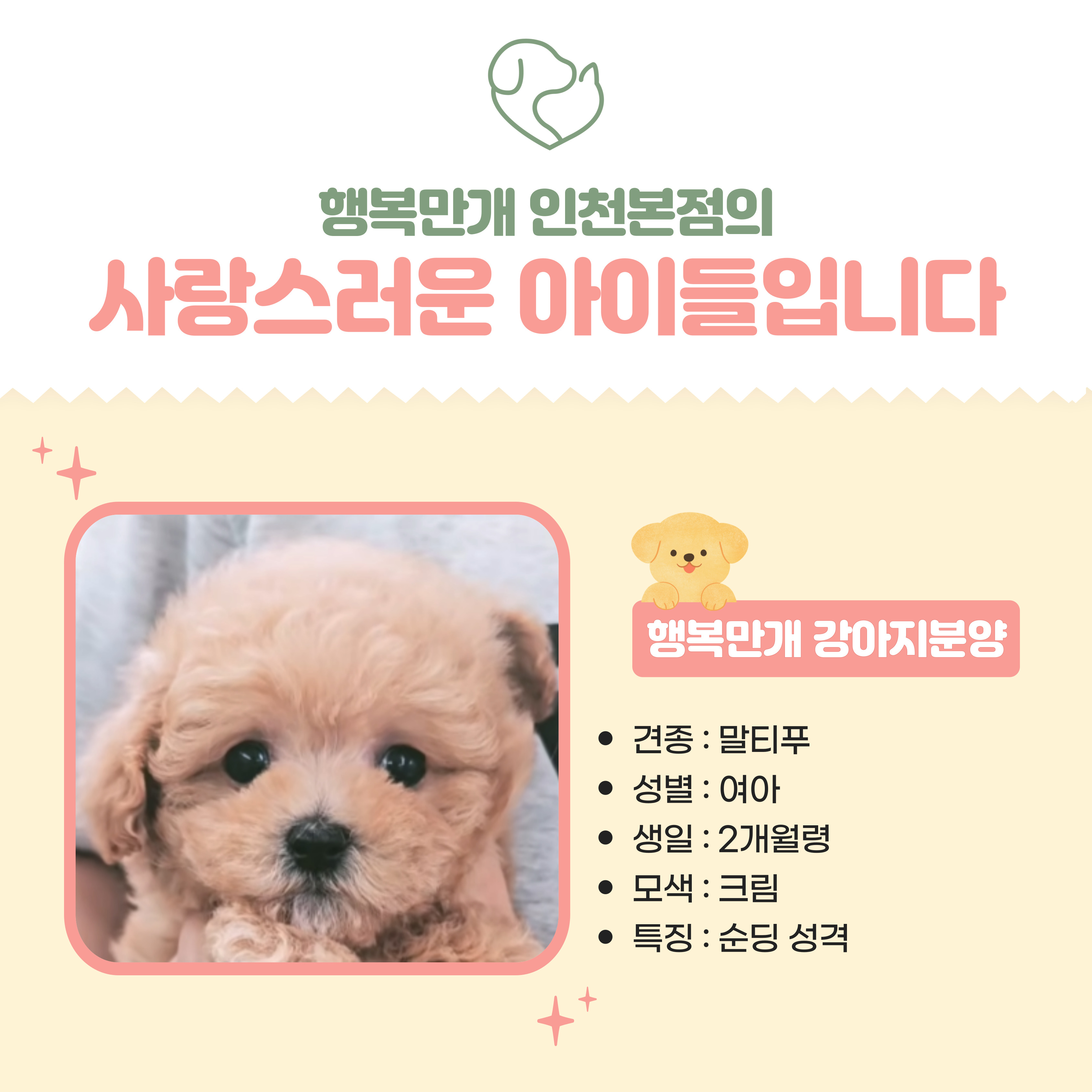 행복만개 인천본점(전, 퍼피캣 인천신현점) 게시판 이미지 3