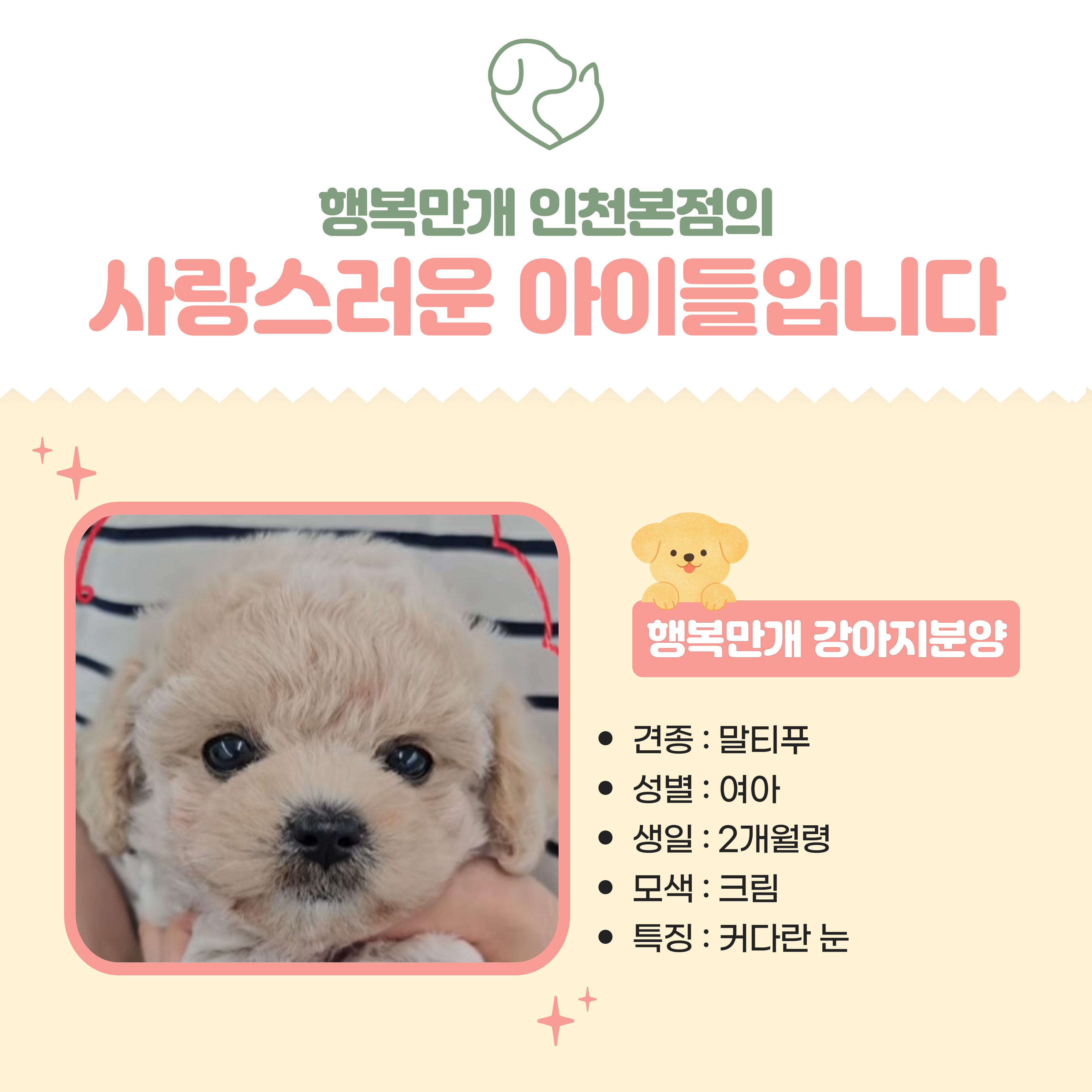 행복만개 인천본점(전, 퍼피캣 인천신현점) 게시판 이미지 2