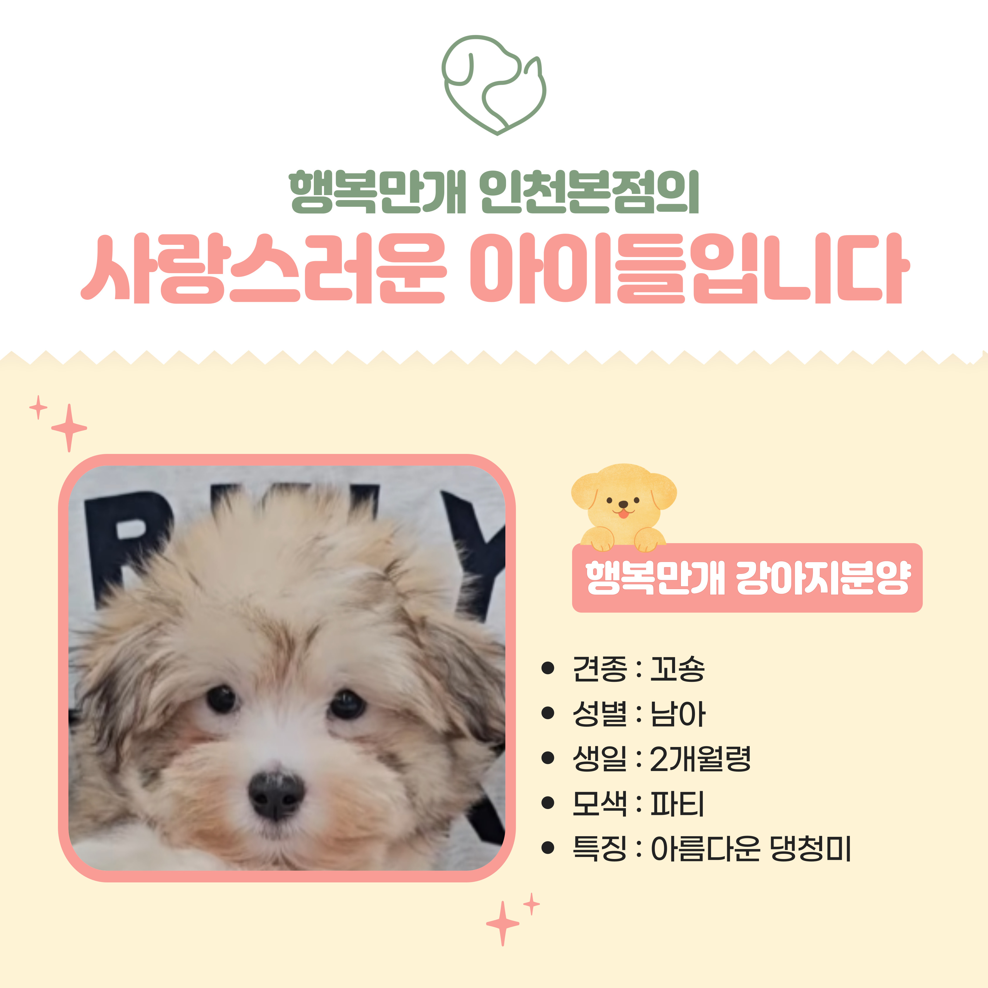 행복만개 인천본점(전, 퍼피캣 인천신현점) 게시판 이미지 1